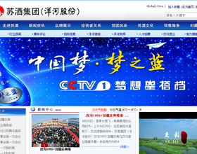 長(zhǎng)沙做網(wǎng)站案例_蘇酒集團(tuán)