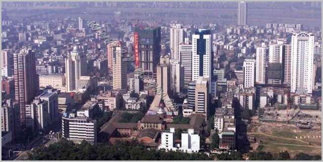 �_���^������